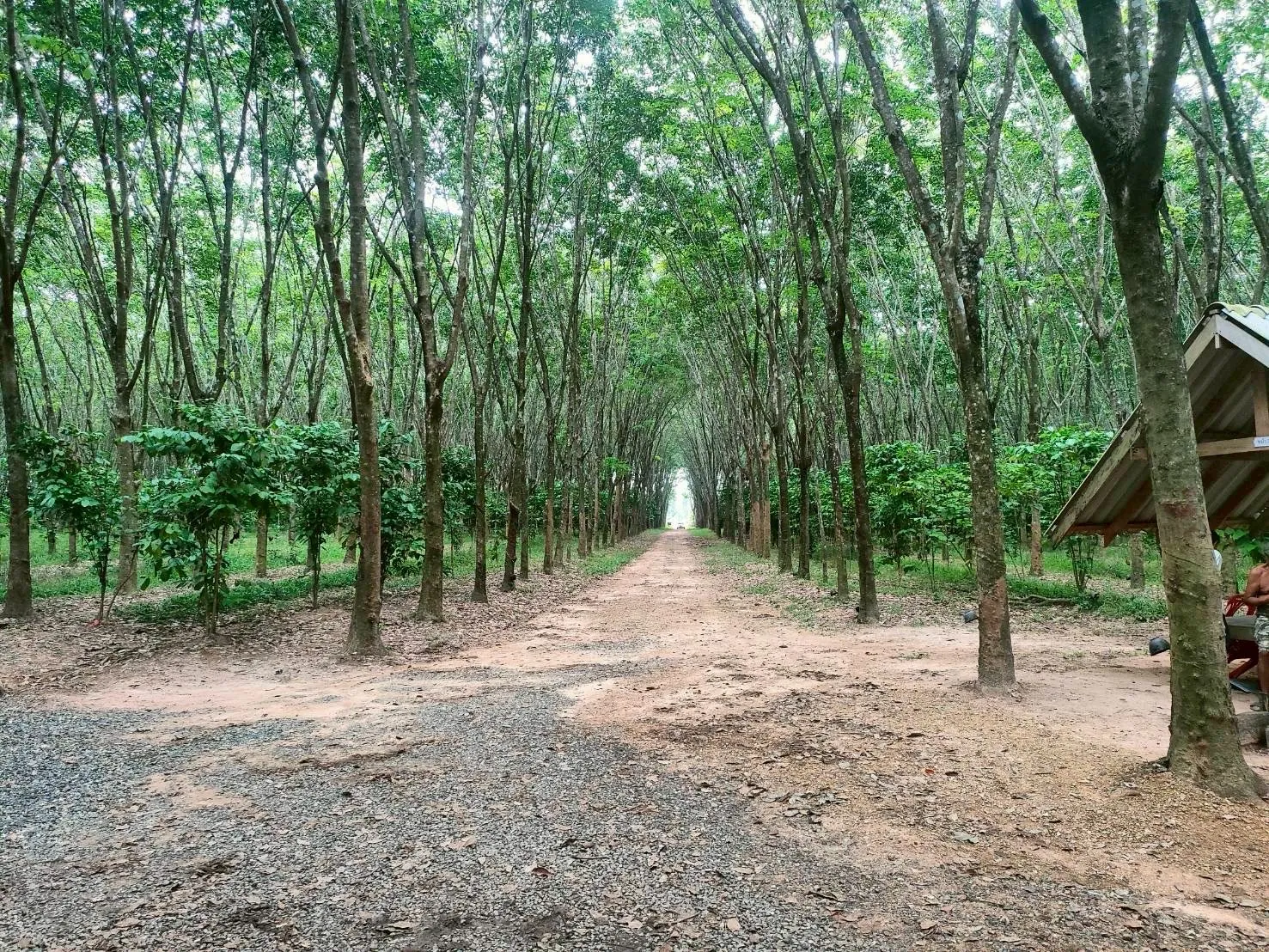 私たちについて