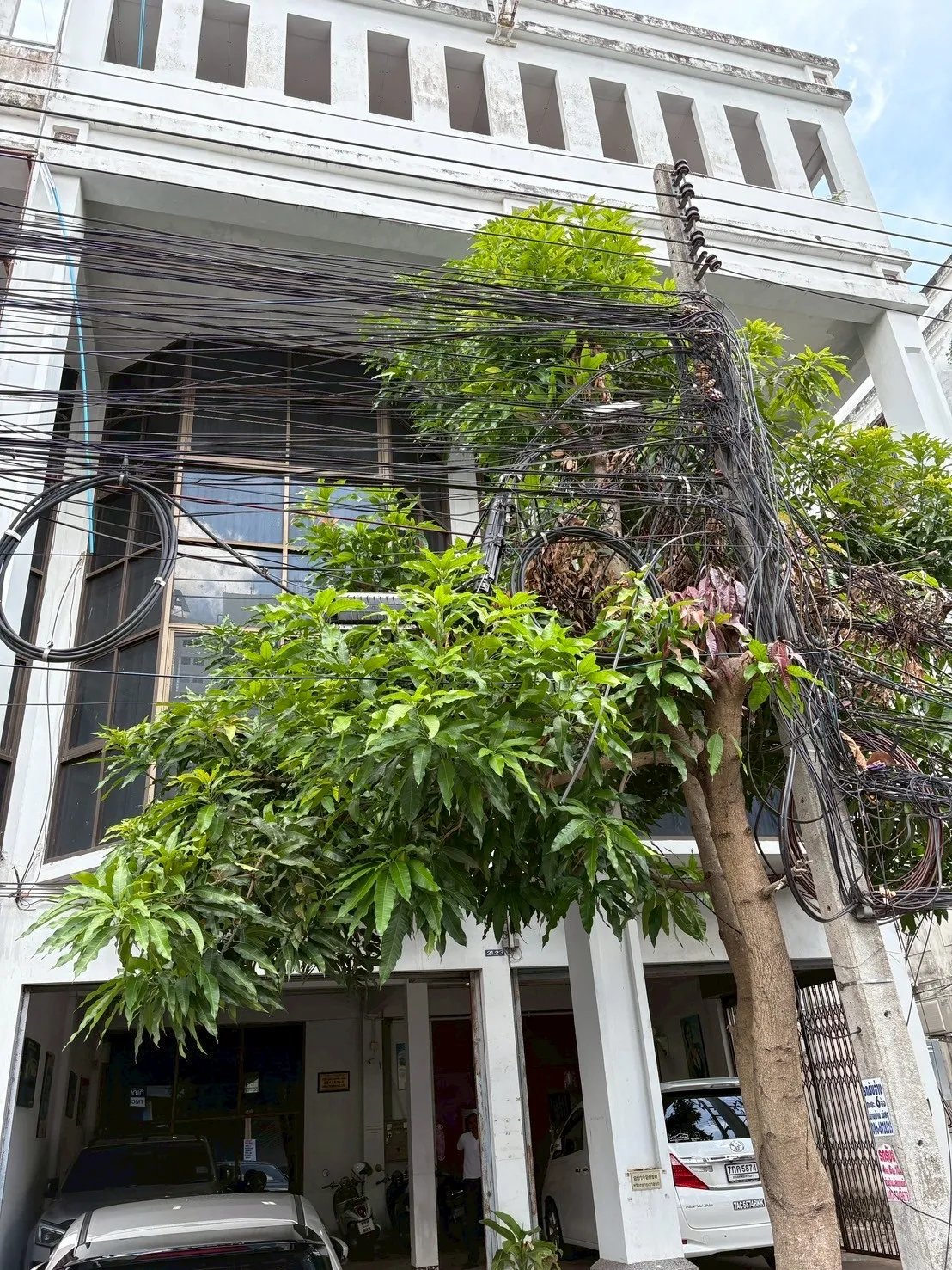 TAISEI TRADING CO, LTD. 社屋